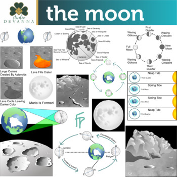 Preview of The Moon Clip Art