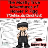 The Mostly True Adventures of Homer P. Figg Mentor Sentenc