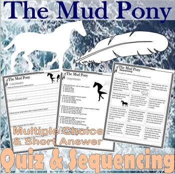 Preview of The Mud Pony Reading Comprehension Questions Quiz Test