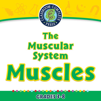 Preview of The Muscular System - Muscles - MAC Gr. 3-8