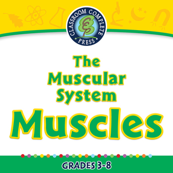 Preview of The Muscular System - Muscles - NOTEBOOK Gr. 3-8