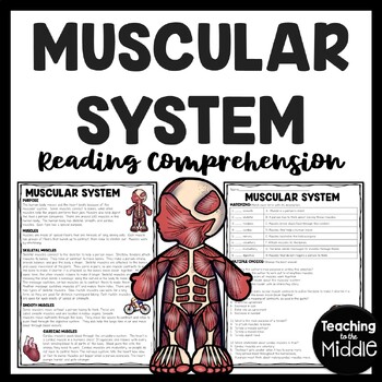 Preview of The Muscular System Informational Text Reading Comprehension Worksheet