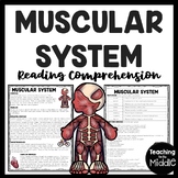 The Muscular System Informational Text Reading Comprehensi