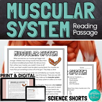 Preview of The Muscular System Reading Comprehension Passage PRINT and DIGITAL