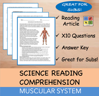 Preview of The Muscular System - Reading Passage and x 10 Questions (EDITABLE)