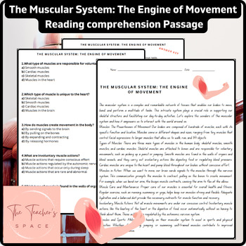 Preview of The Muscular System: The Engine of Movement Reading Comprehension Passage