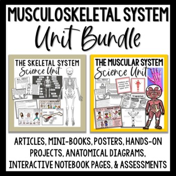 Preview of The Musculoskeletal System - Human Body Muscular & Skeletal Systems Bundle
