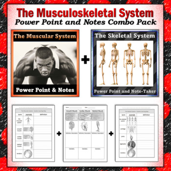 Preview of The Musculoskeletal System: Power Point and Notes Combination Bundle
