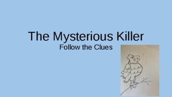 Preview of The Mysterious Killer - Follow the Clues