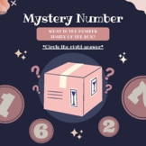 The Mystery Number