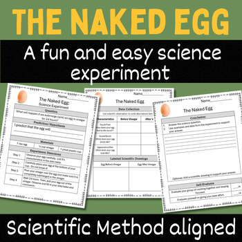 Preview of The Naked Egg: An Engaging Scientific Inquiry Experiment