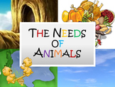 The Needs of Animals Lesson Presentation