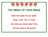 The Needs of Your Seeds