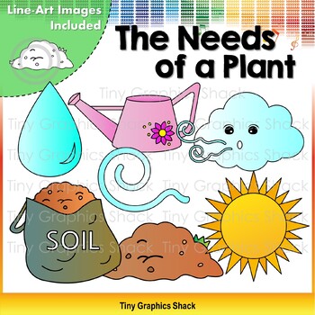 Preview of The Needs of a Plant Clip Art