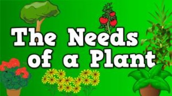 Preview of The Needs of a Plant (video)