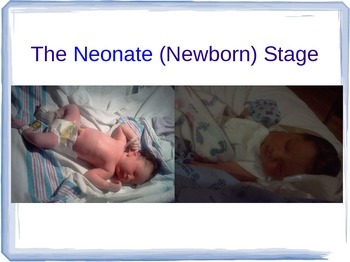 Preview of The Neonate / Newborn Stage PowerPoint for Child Development Infant Unit