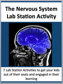 Preview of The Nervous System - 7 Engaging Lab Stations