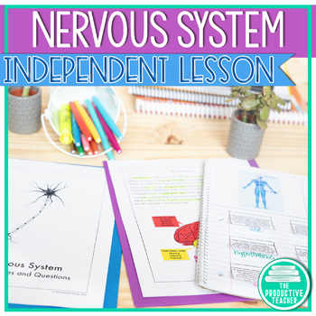 Preview of Parts and Functions of the Nervous System Worksheets and Reading Passages
