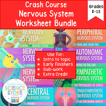Preview of The Nervous System Crash Course Bundle