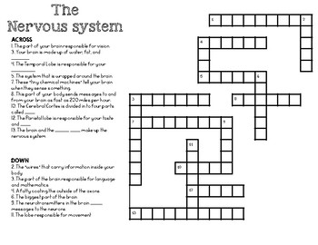 The Nervous System Crossword By Classroom Collaboration Tpt