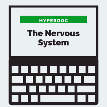 Preview of The Nervous System HyperDoc