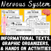 The Nervous System Informational Text Graphic Organizers B