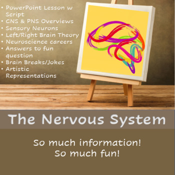 Preview of Nervous System- Jam-packed PowerPoint Lesson with Script