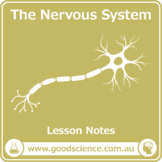 The Nervous System [Lesson Notes]