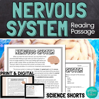 Preview of The Nervous System Reading Comprehension Passage PRINT and DIGITAL