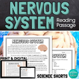 The Nervous System Reading Comprehension Passage PRINT and