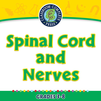 Preview of The Nervous System - Spinal Cord and Nerves - NOTEBOOK Gr. 3-8