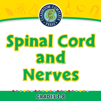 Preview of The Nervous System - Spinal Cord and Nerves - PC Gr. 3-8