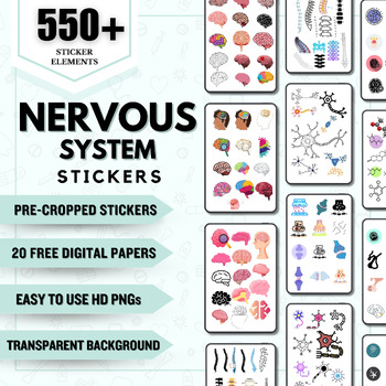 Preview of The Nervous System Stickers | Nursing Study Guide | GoodNotes Stickers | Medical