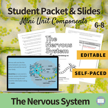 Preview of The Nervous System - Student Packet and Slides for MS-LS1-8