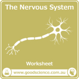 The Nervous System [Worksheet]