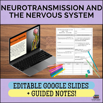 Preview of The Nervous System and the Neuron - Psychology Lecture and Guided Notes!