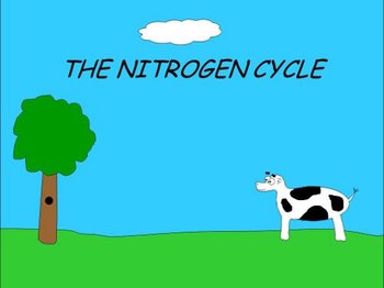 Nitrogen Cycle With Diagram