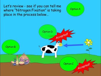 The Nitrogen Cycle (PowerPoint, Student Note Sheet, and ...