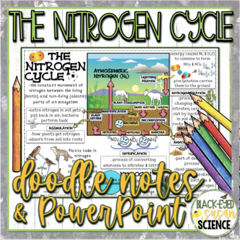 Preview of The Nitrogen Cycle Doodle Notes & Quiz + PowerPoint