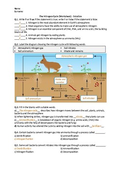 The Nitrogen Cycle - Worksheet | Distance Learning by Science Worksheets