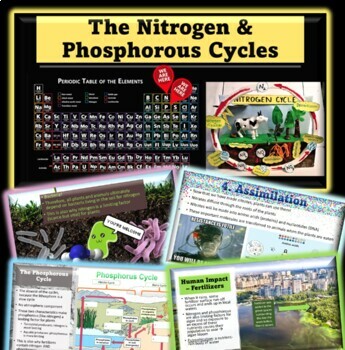Preview of AP Environmental Science The Nitrogen & Phosphorous Cycles Lesson BUNDLE! NEW
