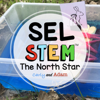 Preview of The North Star Self Awareness SEL Activity and STEM Challenge
