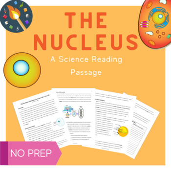 Preview of The Nucleus: A Science Reading Passage