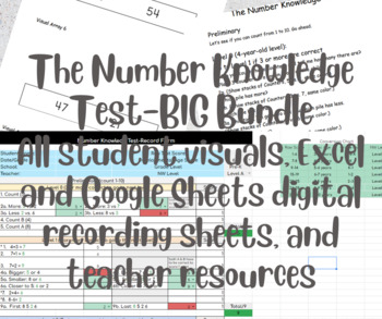 Preview of The Number Knowledge Test- The BIG Bundle