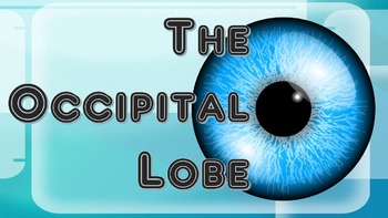 Preview of The Occipital Lobe - Brain Games (Powerpoint & 4 Games)