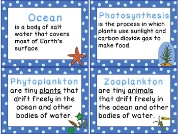 The Ocean Habitat by Enchanting Resources | Teachers Pay Teachers