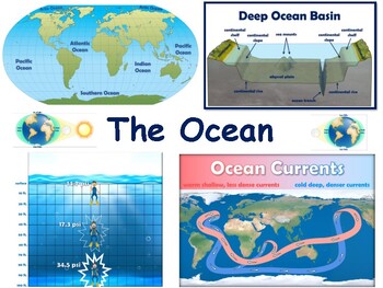 Preview of The Ocean Lesson & Flashcards task cards study guide exam prep 2023-2024