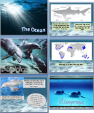 The Ocean Powerpoint