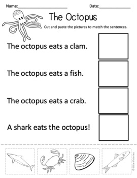 The Octopus: Differentiated Food Chain Vocabulary and Reading Comprehension