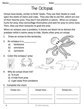 The Octopus: Differentiated Food Chain Vocabulary and Reading Comprehension
